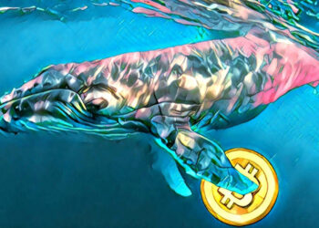 Unknown whale swiftly moves $432 million worth of Bitcoin