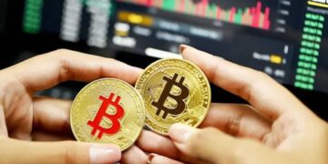 Bitcoin, Shiba Inu, Ethereum, Dogecoin, Matic