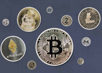 Dogecoin, Binance Coin BNB, Cardano, Polygon Price Crashes, EverGrow up by 110%