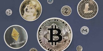 Dogecoin, Binance Coin BNB, Cardano, Polygon Price Crashes, EverGrow up by 110%