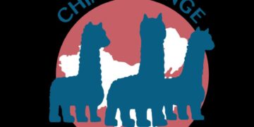 A New Year Statement by The China Human Rights Lawyers Group