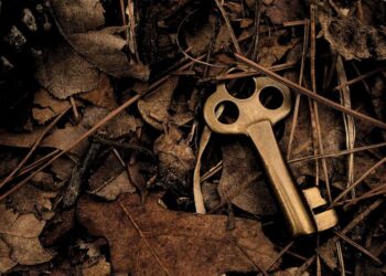 Bitcoin Stabilizes; Analysts See Relative Value in Altcoins