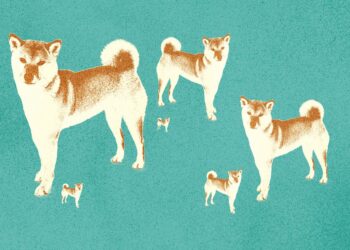 Shiba Inu coin news: What is Shiberse? Is there a Shib metaverse?