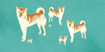 Shiba Inu coin news: What is Shiberse? Is there a Shib metaverse?