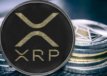 The Cryptocurrency Guide for the Perplexed: Ripple (XRP)