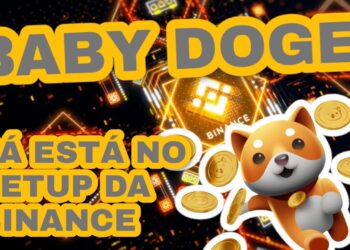 BABY DOGE JÁ ESTA NO SETUP DA BINANCE | COINBASE TAMBÉM LISTA PREÇO DA BABYDOGE | FOGUETE NÃO TEM RÉ – Oakland News Now