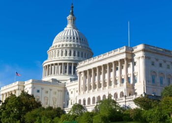 Cardano, Dogecoin and 8 Other Cryptos Congress Was Buying in 2021