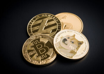 Bitcoin, Ethereum, Shiba Inu, Dogecoin, BNB