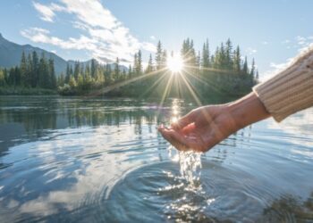 A Ripple Effect of Change: Reclaiming a Sense of Joy and Purpose through Online Learning Culture and Restorative Practices