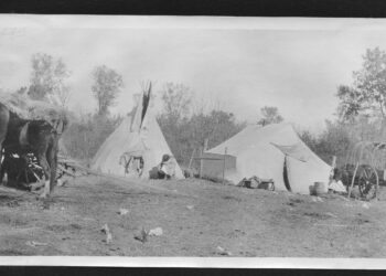 Ripples from the Dunes: Nature’s Needs