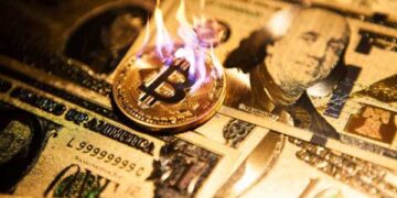 Is This a Market Recovery or a Dead Cat Bounce?