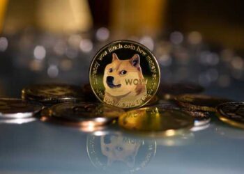 Over $176M Worth of Dogecoin Were Moved by Whales Within 24 Hours