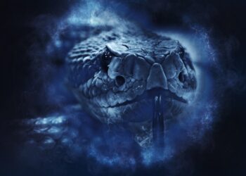 Buy now, pay later fraud, romance and cryptocurrency schemes top the list of threats this year