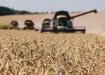 A Russia-Ukraine War Could Ripple Across Africa and Asia