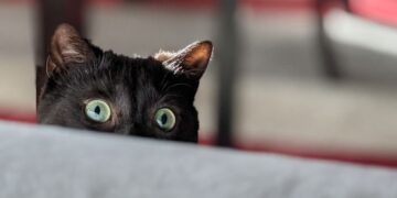 Should you quit banking for crypto in 2022?