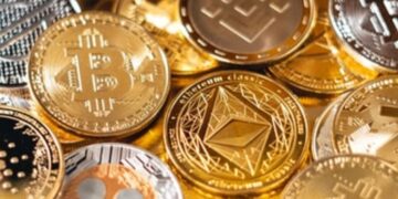 Top Altcoins to Watch as Crypto Recovers