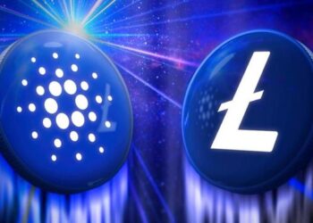 A Beginners Guide To Altcoins