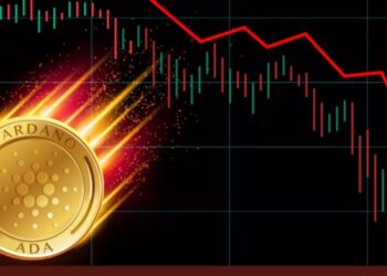 Cardano Price Drop, While Bitgert Price Skyrocketing After Its BRC20 Blockchain, Tough Competition For Avalanche & Matic