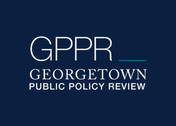 Phantom Finance: A Review of Scholarly Literature on the Public Policy Impact of Blockchain-Based Digital Economies