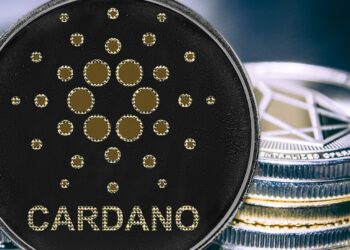 Cardano Is Set to Rise From Here Based on Strong Wallet Growth