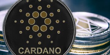 Cardano Is Set to Rise From Here Based on Strong Wallet Growth