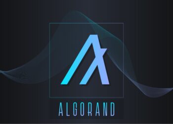 Algorand Will LIkely Be a Premier Altcoin This Year