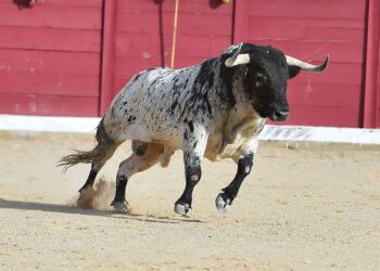 These Two Altcoins Are Ready For Major Pullback, Says Crypto Analyst