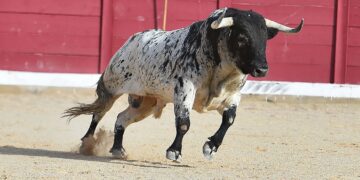 These Two Altcoins Are Ready For Major Pullback, Says Crypto Analyst