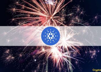 Cardano (ADA) Ranks Second in 24H Transaction Volume, Surpasses Ethereum and Litecoin