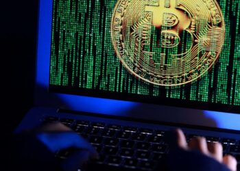 Baby Musk Coin Tanks Nearly 100% as Project Crumbles in Apparent Rug Pull Scam