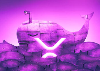 Crypto Whales Gobble Up Over $708,000,000 in XRP Amid Massive Accumulation Spree: Analytics Firm Santiment