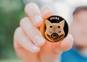 Shiba Inu Transactions Dropped, While Bitgert Skyrocketing, Dogecoin, Babydoge, Saitama Inu, Metahero Bearish