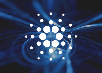 On-chain metrics suggest Cardano is due a reversal of fortunes