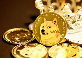 Dogecoin Now Among Top 10 Holdings Of The Biggest Binance Smart Chain Whales – Dogecoin – United States Dollar ($DOGE)