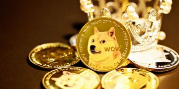 Dogecoin Now Among Top 10 Holdings Of The Biggest Binance Smart Chain Whales – Dogecoin – United States Dollar ($DOGE)