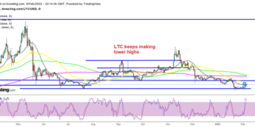 The First Test for Litecoin (LTC), Cardano (ADA) Buyers, as They Bounce off Support