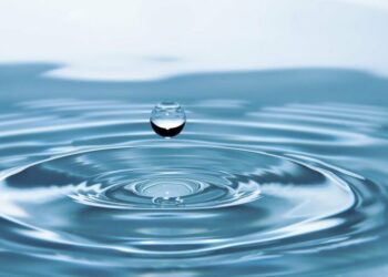 Ripple’s APAC Policy Director: ‘ODL Can Be Used as a Neutral Bridge Between CBDCs’