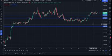 Which coin to buy in Cryptocurrency market Bitcoin BTCUSDT, Ripple, Super, Bluzelle etc 16022022 | Oakland News Now