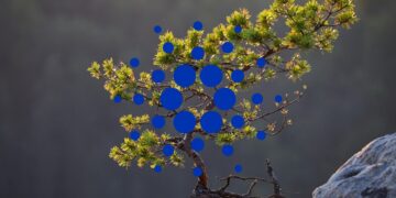 Cardano price analysis: Bullish spell launches ADA above $0.838.