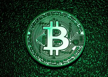 Bitcoin Prices Rise, Dogecoin Soars—and What Else Is Happening in Crypto