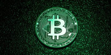 Bitcoin Prices Rise, Dogecoin Soars—and What Else Is Happening in Crypto