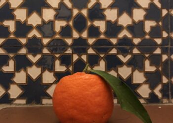 Top 5 Learnings About Web 3.0 — Blockchain, NFTs and Crypto | by Michelle Binkley | Mar, 2022