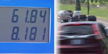 Charlotte businesses seeing ripple effects of fuel price hikes