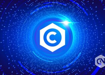 Akita Inu & DOGE Price Movements as Calyx Network Enters Presale