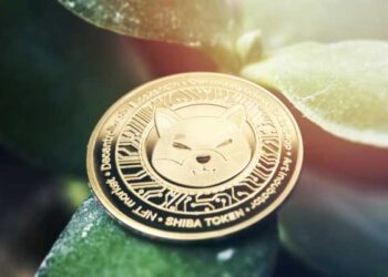 DOGE and SHIB Tread Water as Russia Continues to Bomb Ukraine