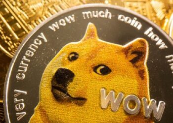 Here’s How Much $100 Invested In This Dogecoin And Elon Musk-Inspired Meme Coin Will Be Worth If It Shoots Back To All-Time High By Benzinga