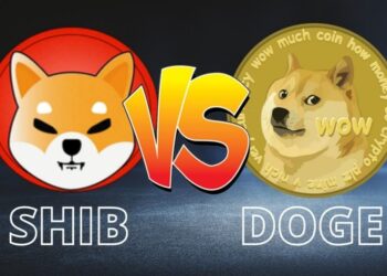 Could You Hit the Jackpot with Shiba Inu (SHIB), Dogecoin (DOGE), and Seesaw Protocol (SSW)?