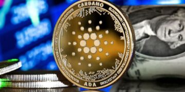 Cardano Is Down: What Should Retail Investors Do?