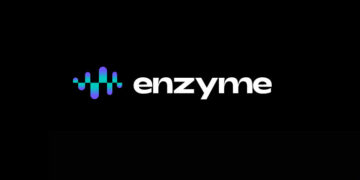 Everything You Need to Know About Enzyme