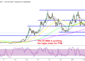 Fantom Crypto (FTM) Reverses Above $1, Litecoin (LTC) Reverses at $100
